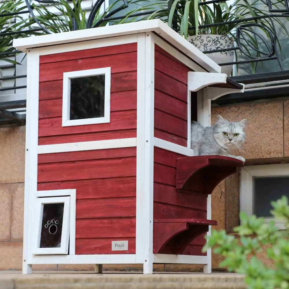 2 Story Outside Cat House