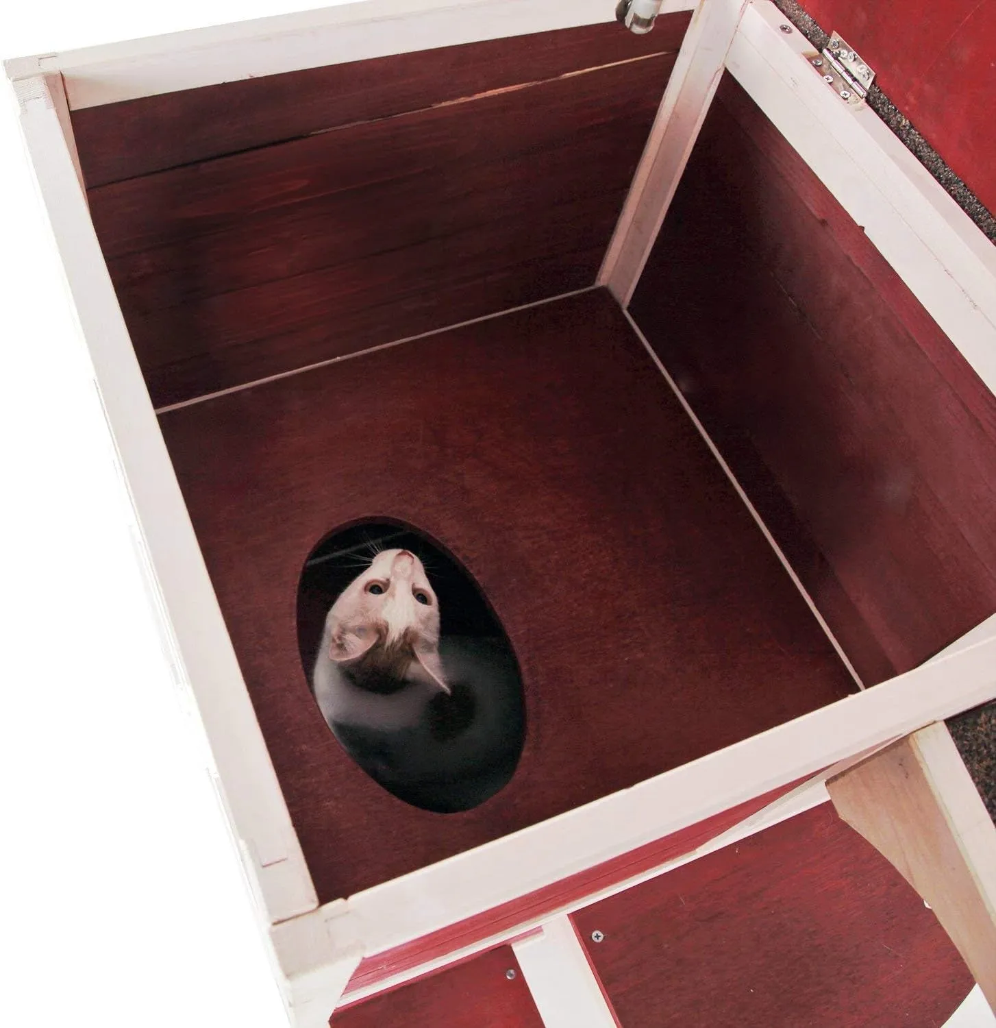 2 Story Outside Cat House