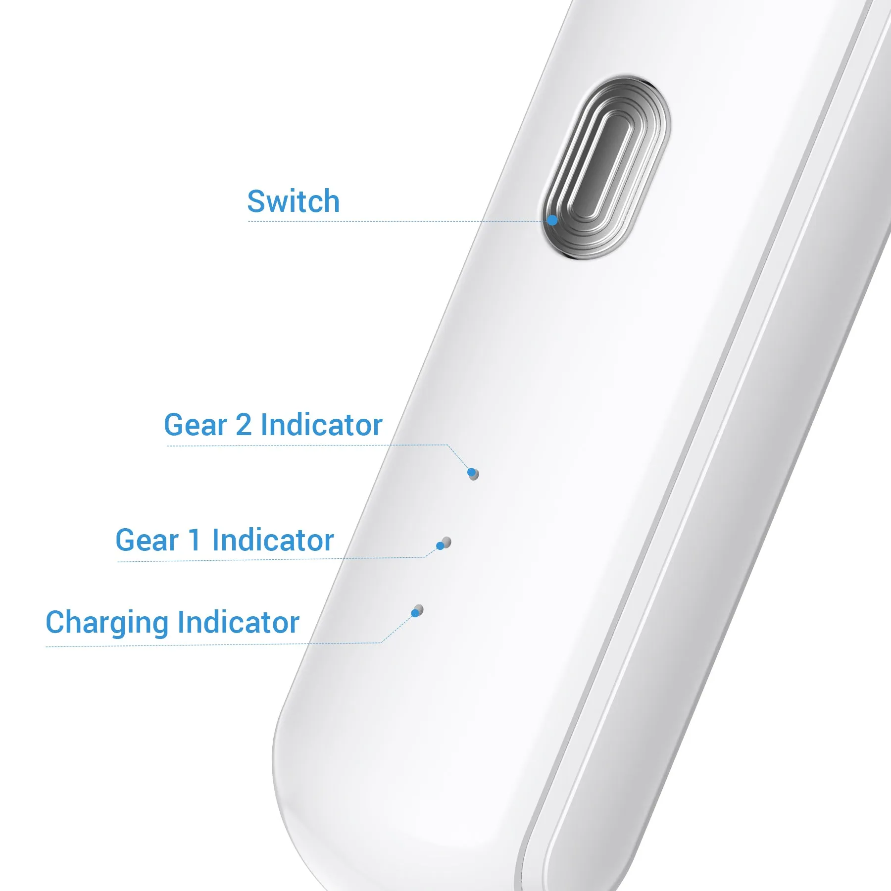 4 in 1 Pet Clipper Kit