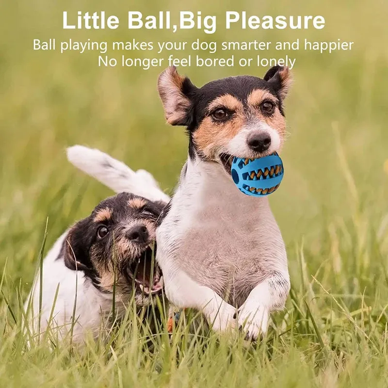 ChewChamp™ Elastic Dog Ball
