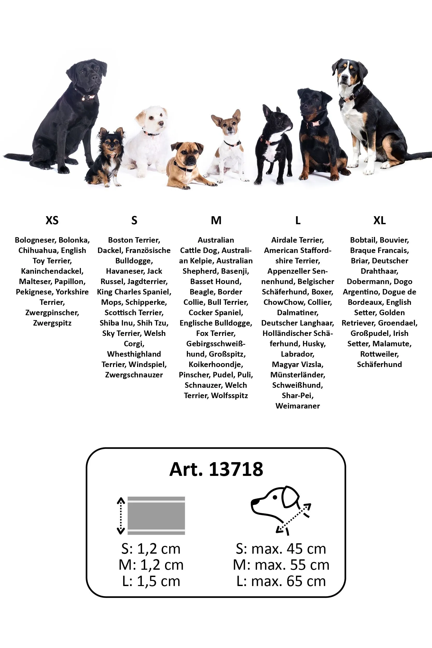 Dogs Training Collar Anam Cara Rope