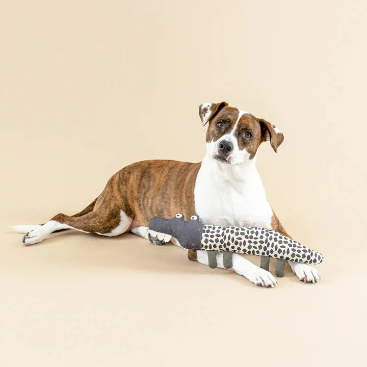 Fringe Dog Toy Canvas Croc My World