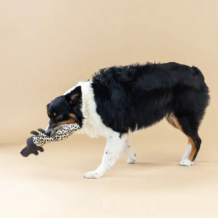 Fringe Dog Toy Canvas Croc My World