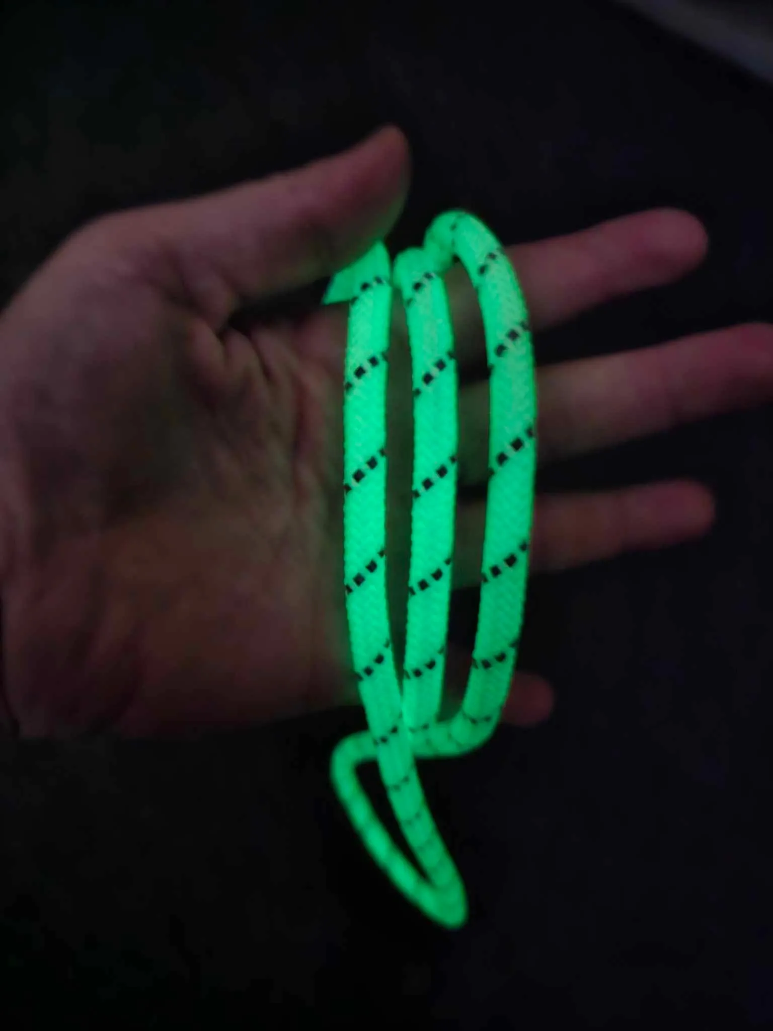 Glow in the Dark Reflective Dog Loop Leash