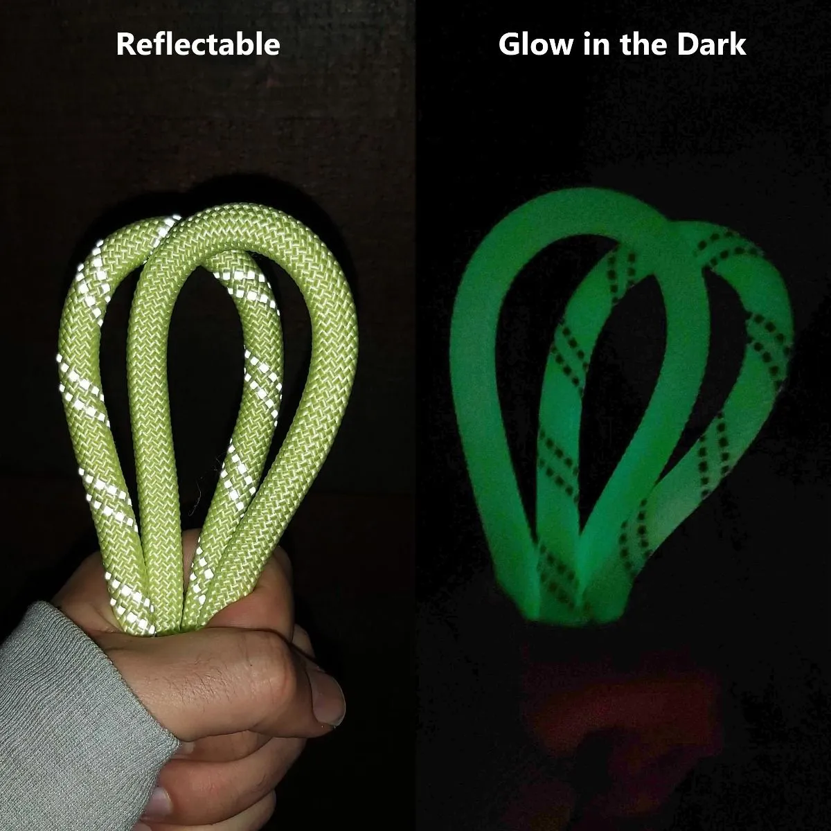 Glow in the Dark Reflective Dog Loop Leash