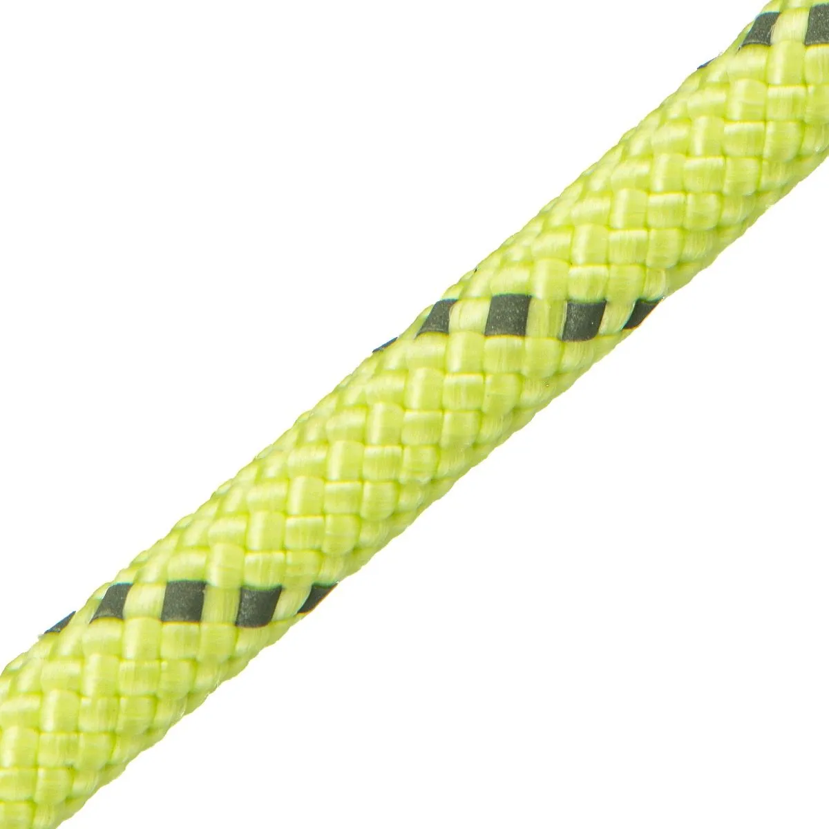 Glow in the Dark Reflective Dog Loop Leash