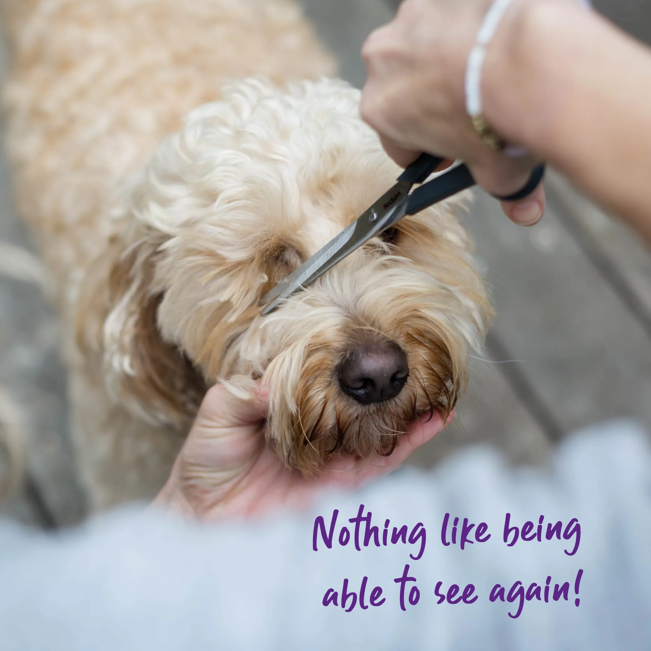 Grooming Scissors