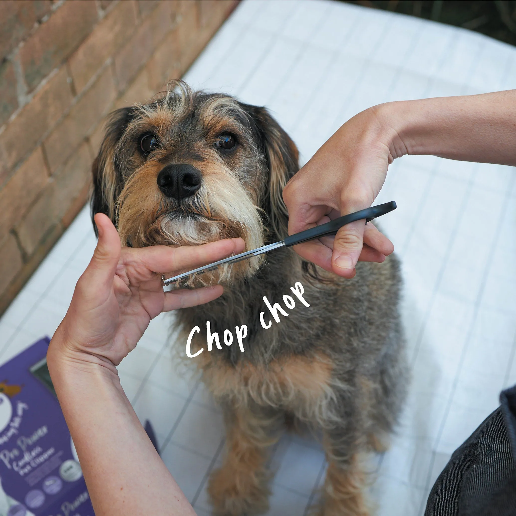 Grooming Scissors