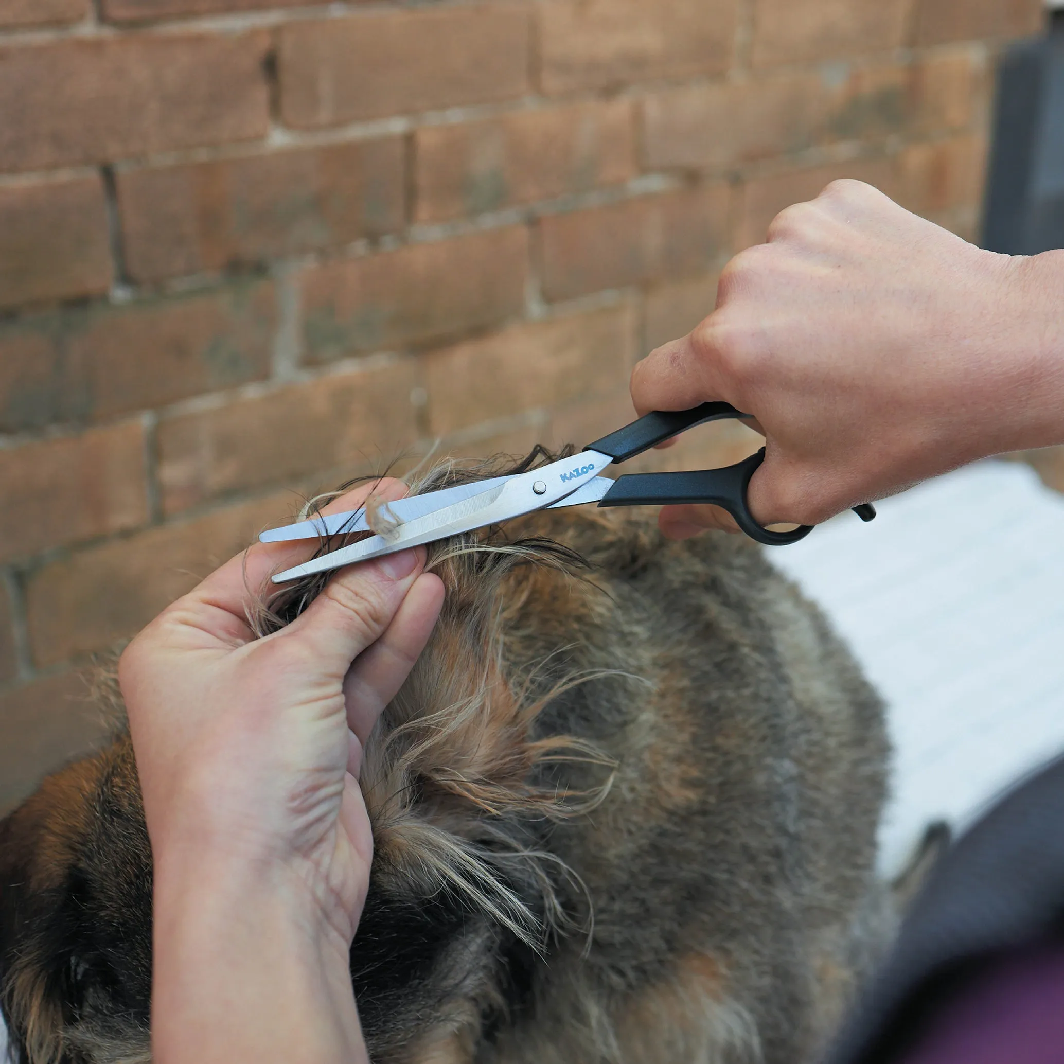 Grooming Scissors