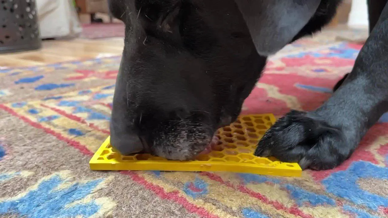 Honeycomb Lick Mat - Enrichment Dog Toy by Soda Pup