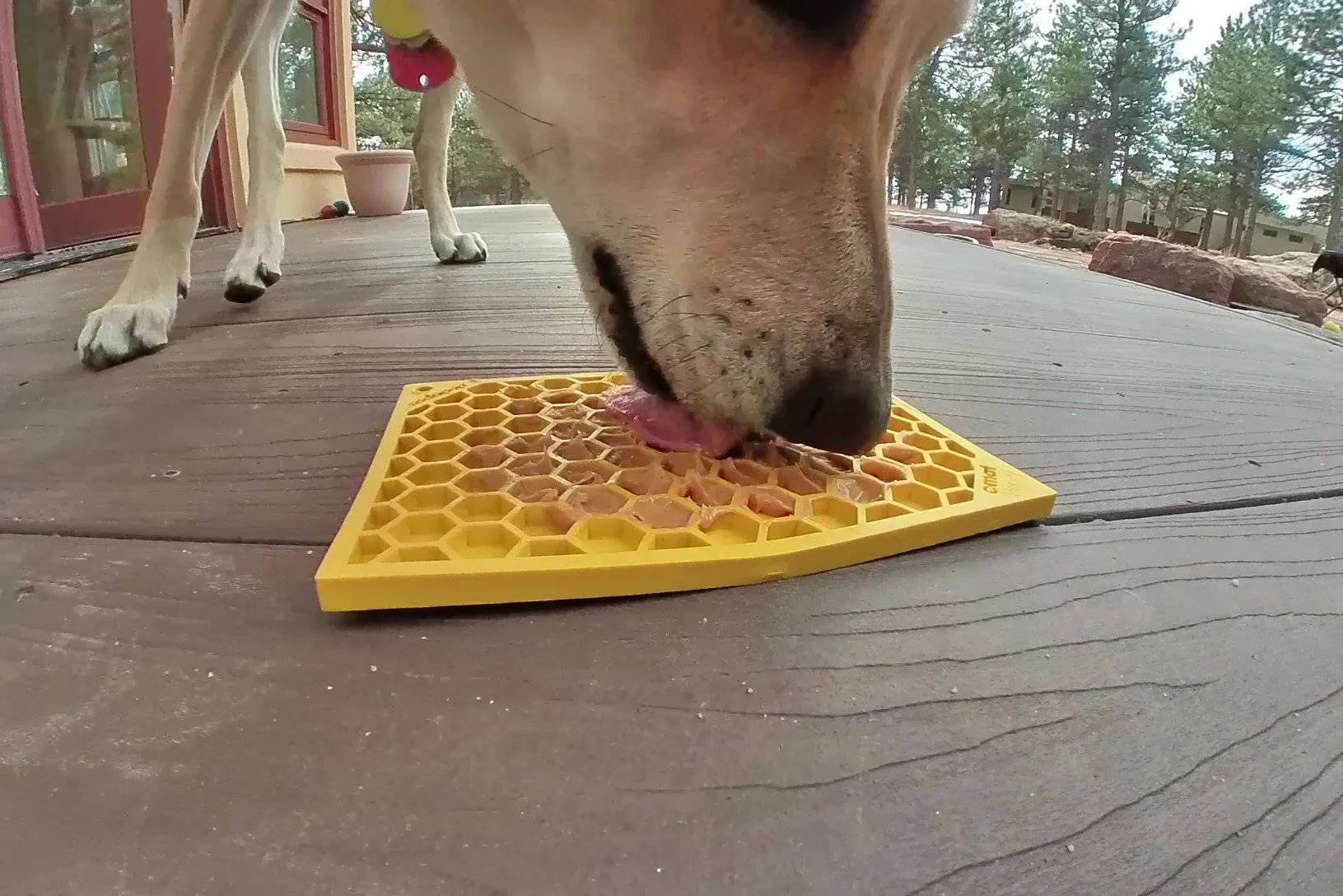 Honeycomb Lick Mat - Enrichment Dog Toy by Soda Pup