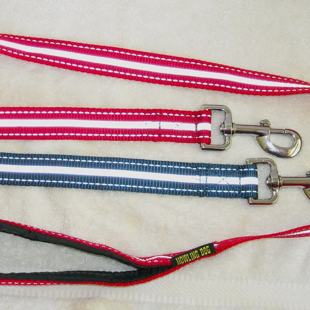 Leash with Padded Handle