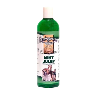 Mint Julep Shampoo 17oz by Envirogroom