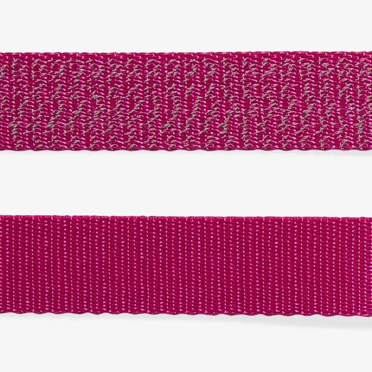 Nox Sidus Dog Leash
