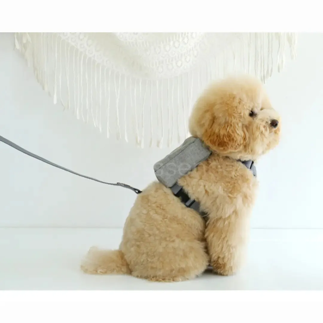 Premium Dog harness backpack for Small to Medium Breeds