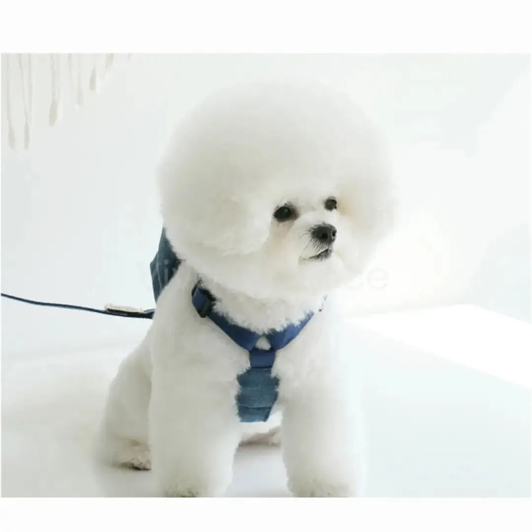 Premium Dog harness backpack for Small to Medium Breeds