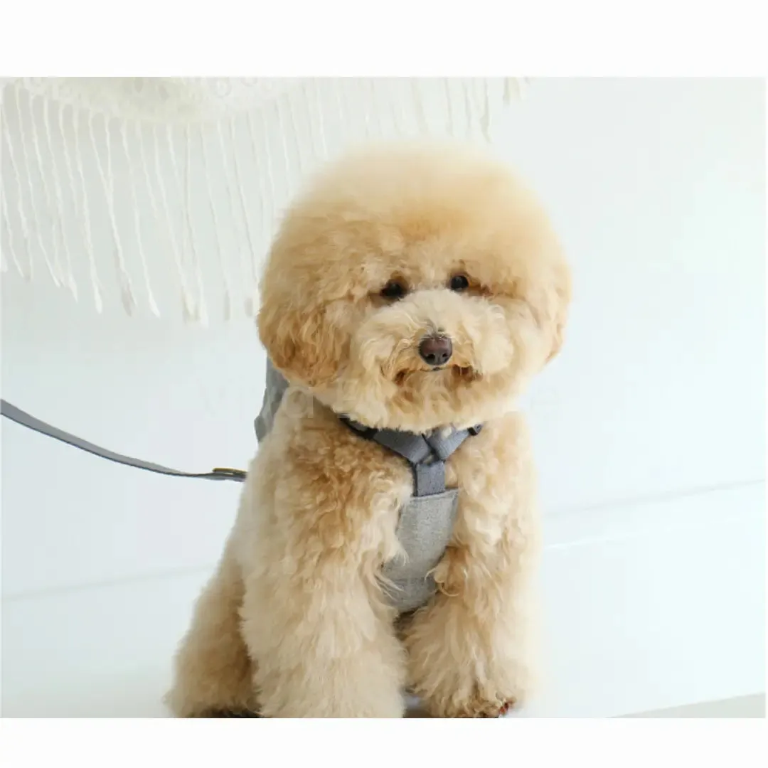 Premium Dog harness backpack for Small to Medium Breeds