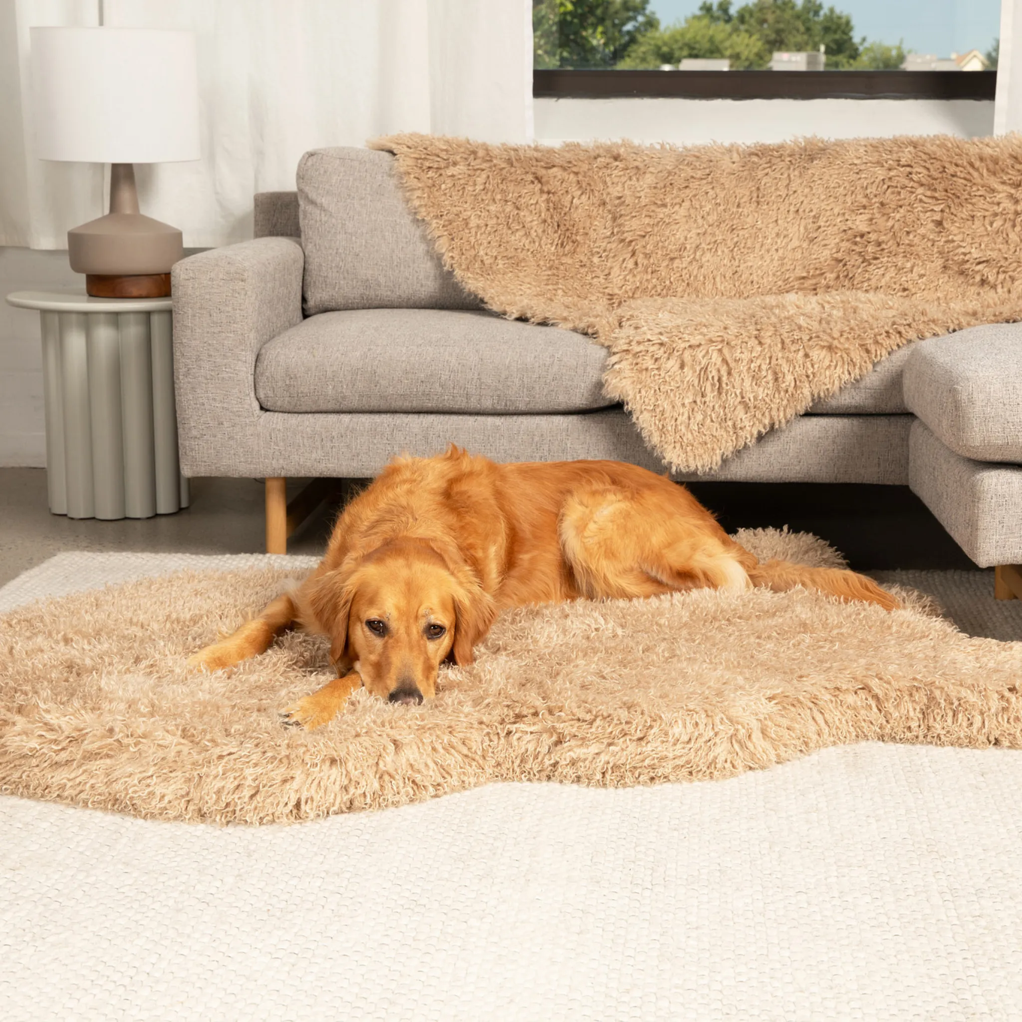 PupRug™ Luxe Orthopedic Bed   Matching Waterproof Blanket Bundle - Plush Sheep Tan