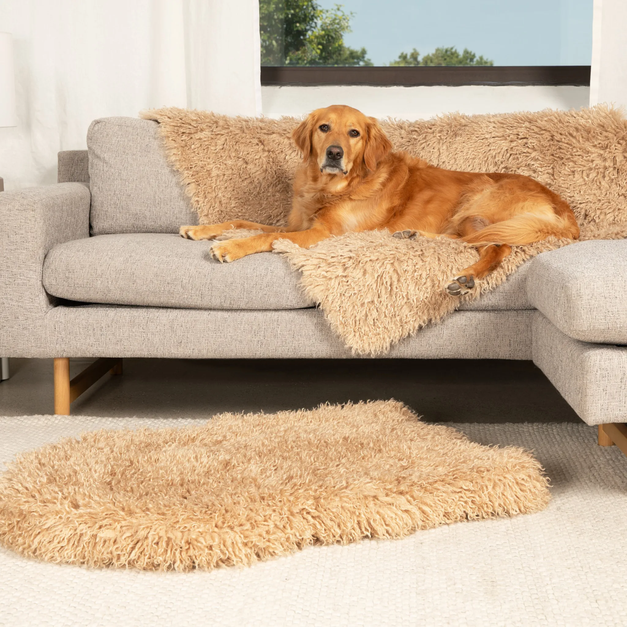 PupRug™ Luxe Orthopedic Bed   Matching Waterproof Blanket Bundle - Plush Sheep Tan