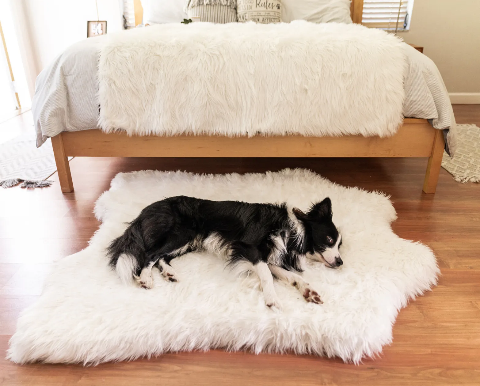 PupRug™ Memory Foam Bed   Matching Waterproof Blanket Bundle - Polar Bear Faux Hide