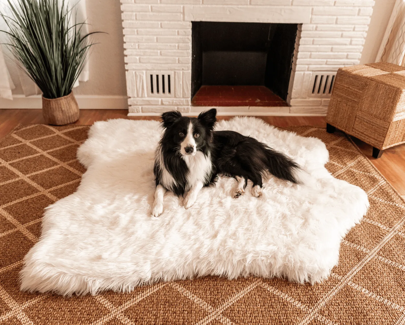 PupRug™ Memory Foam Bed   Matching Waterproof Blanket Bundle - Polar Bear Faux Hide