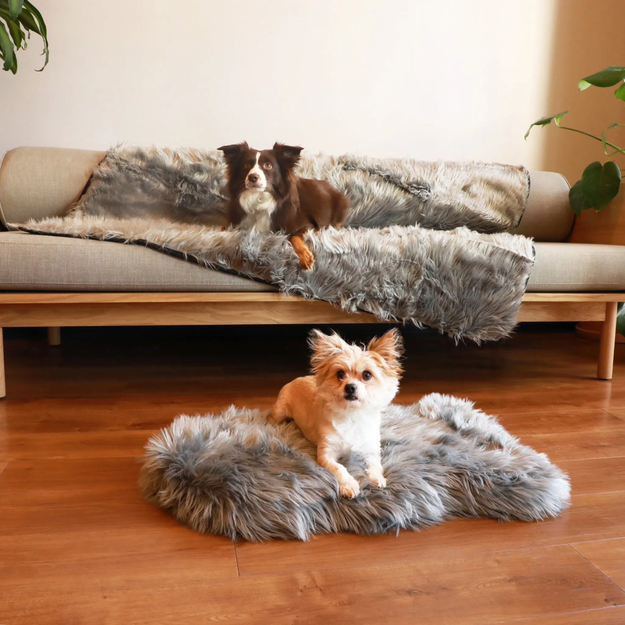 PupRug™ Orthopedic Bed   Matching Waterproof Blanket Bundle - Charcoal Grey