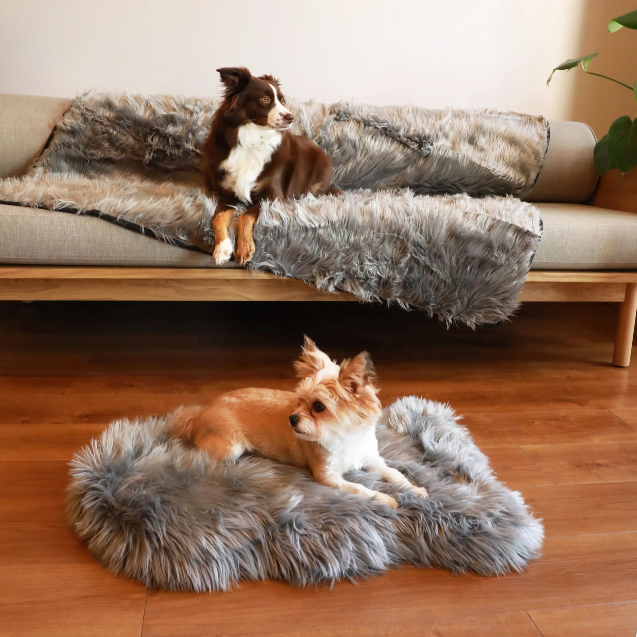 PupRug™ Orthopedic Bed   Matching Waterproof Blanket Bundle - Charcoal Grey