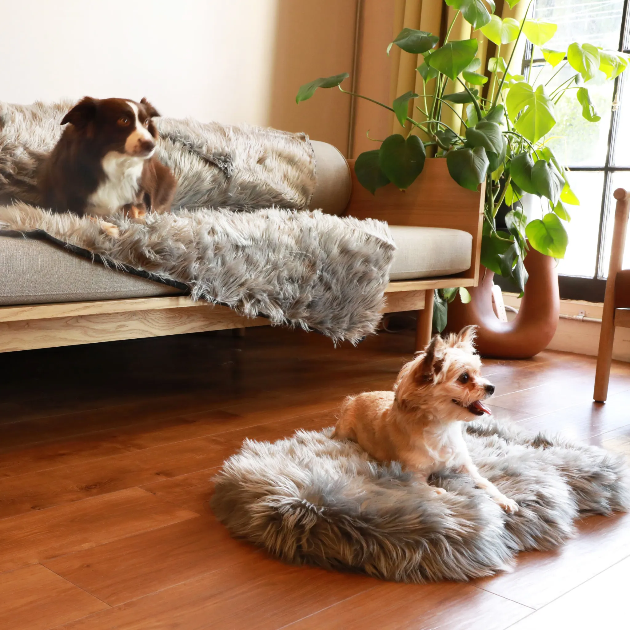 PupRug™ Orthopedic Bed   Matching Waterproof Blanket Bundle - Charcoal Grey