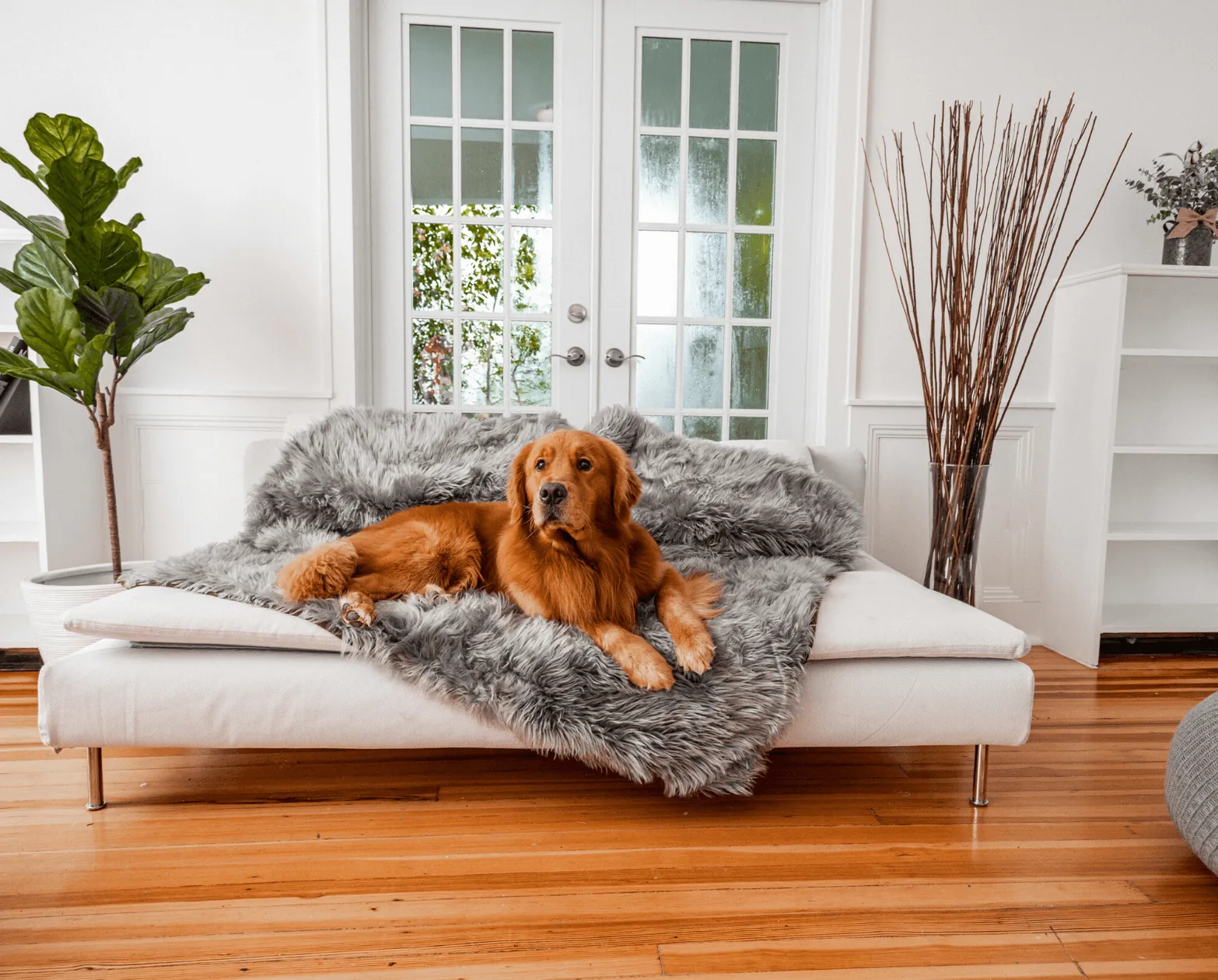PupRug™ Orthopedic Bed   Matching Waterproof Blanket Bundle - Charcoal Grey