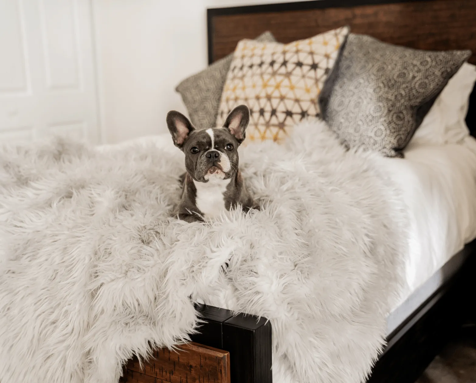 PupRug™ Orthopedic Bed   Matching Waterproof Blanket Bundle - Rectangle Grey