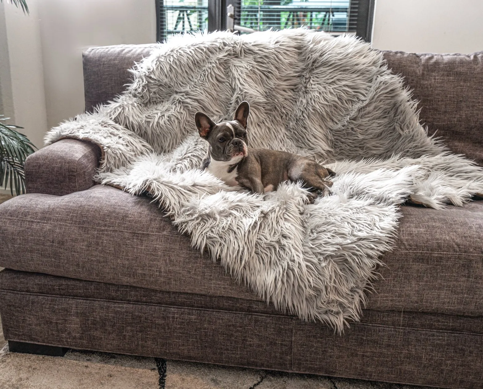 PupRug™ Orthopedic Bed   Matching Waterproof Blanket Bundle - Rectangle Grey