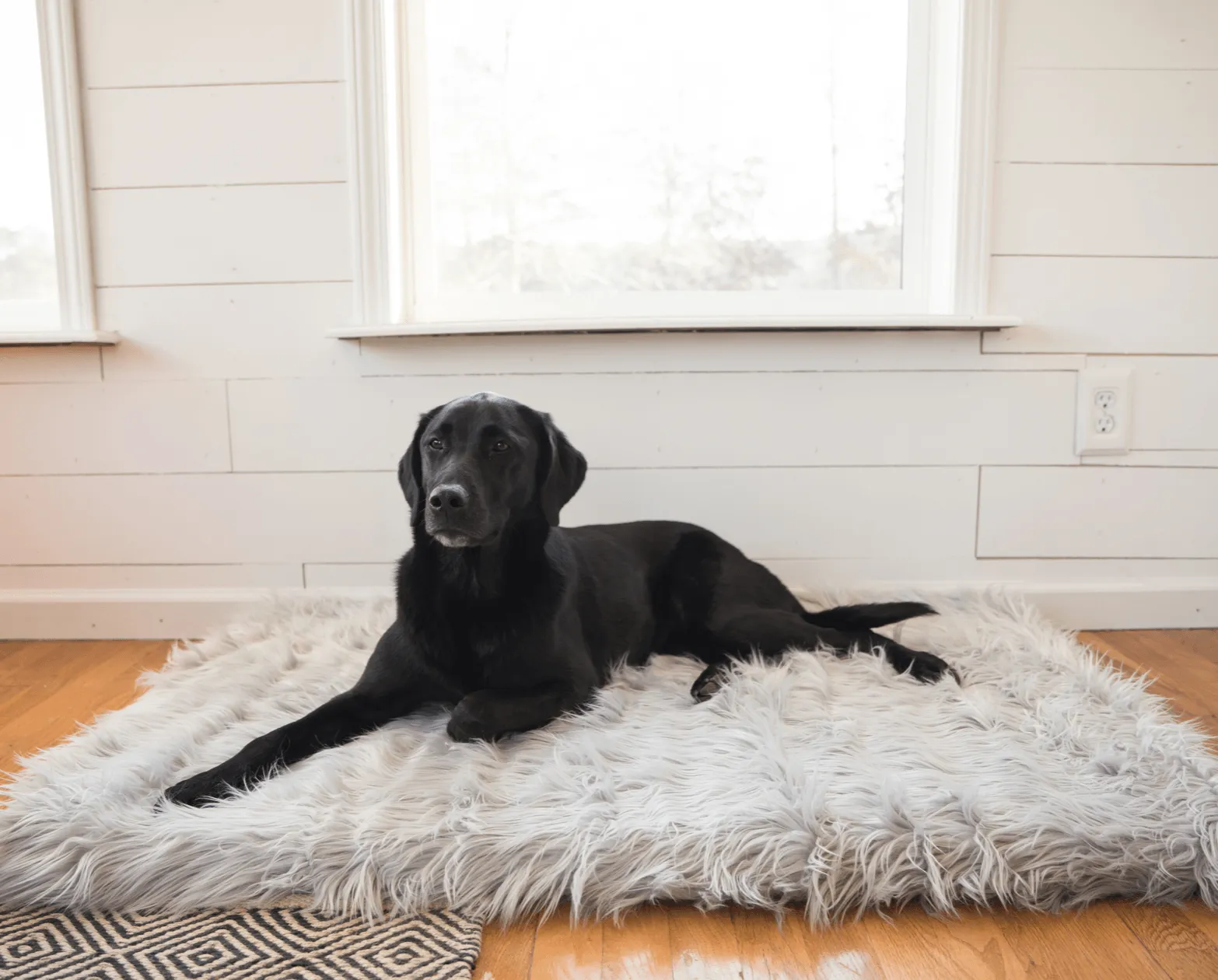 PupRug™ Orthopedic Bed   Matching Waterproof Blanket Bundle - Rectangle Grey