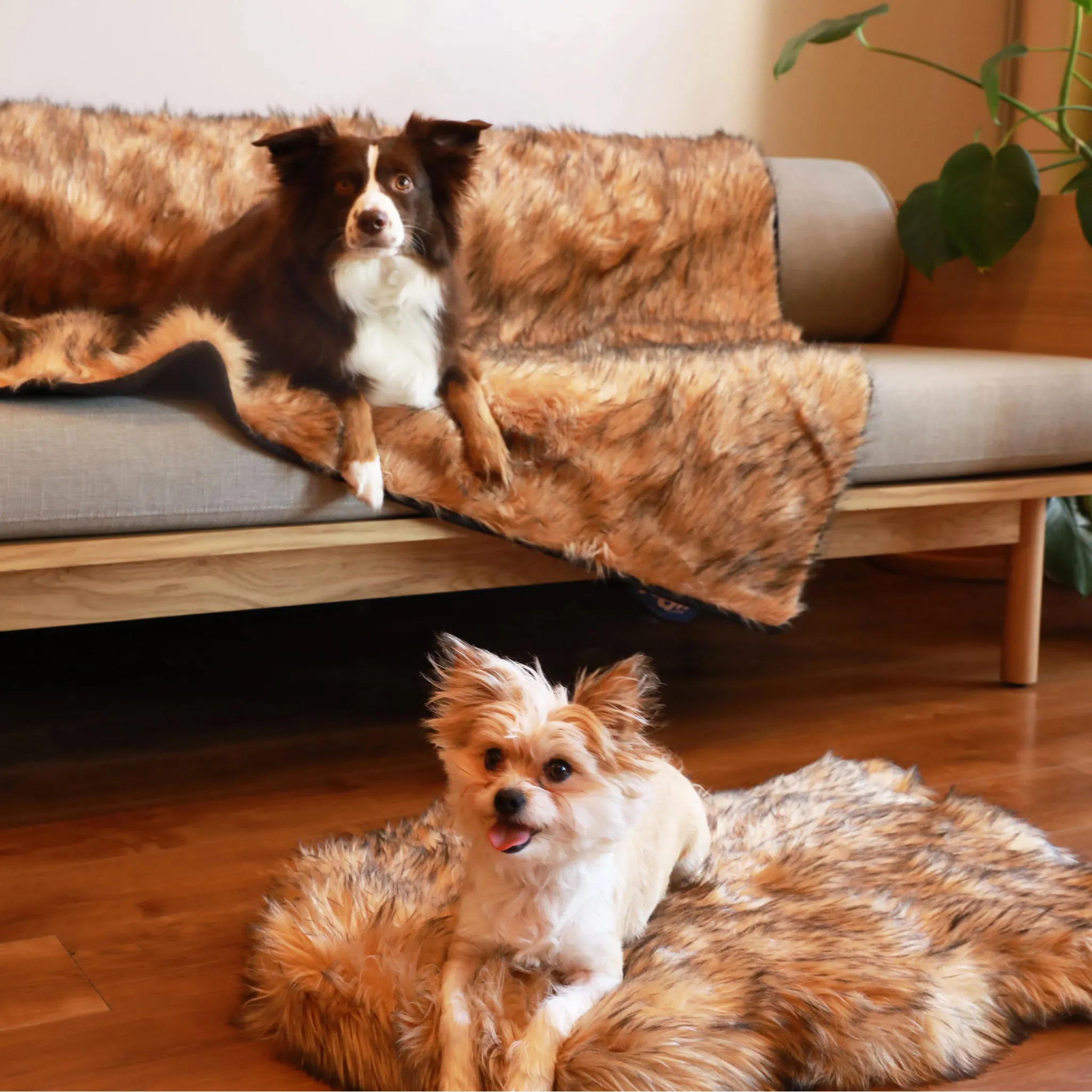 PupRug™ Orthopedic Bed   Matching Waterproof Blanket Bundle- Sable Tan