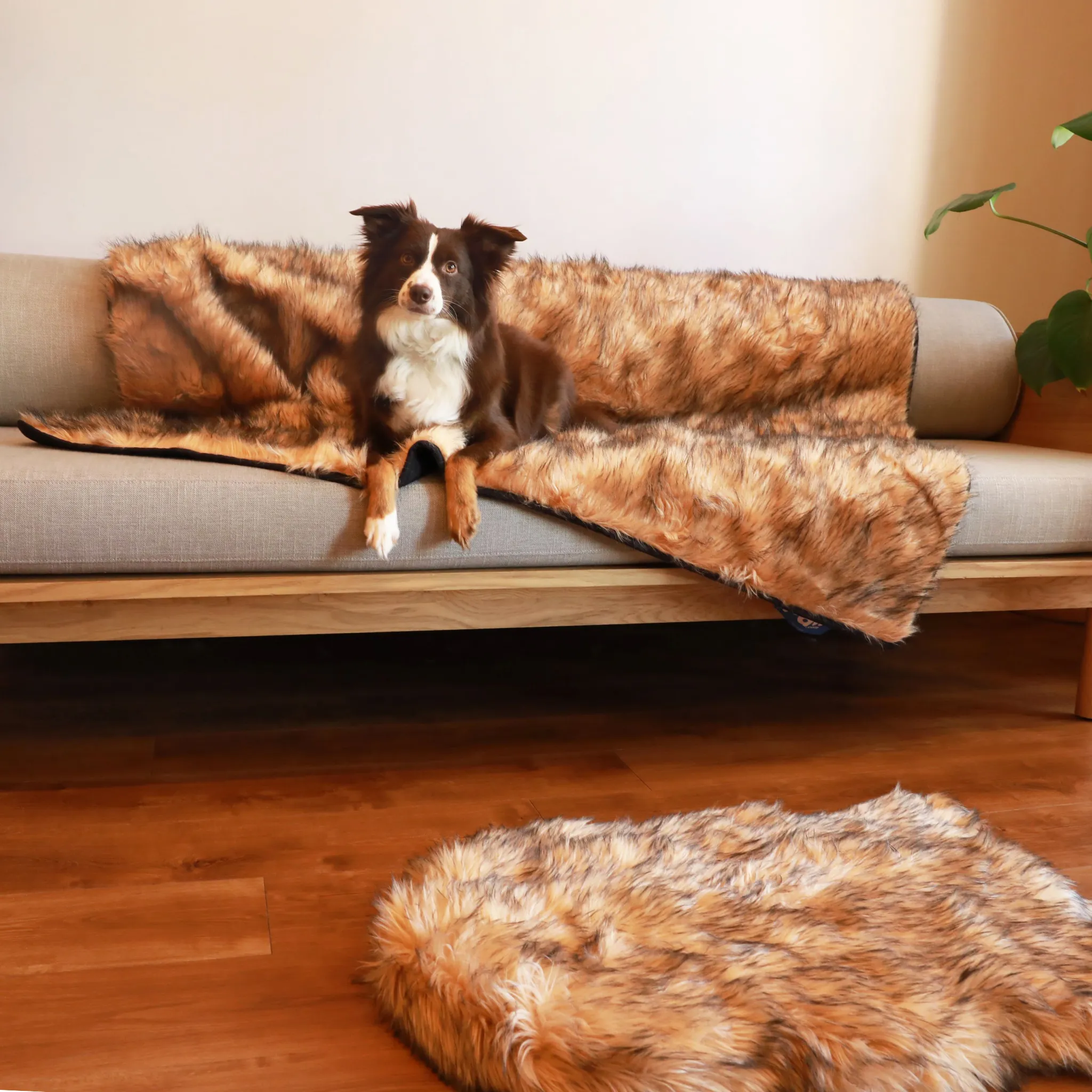 PupRug™ Orthopedic Bed   Matching Waterproof Blanket Bundle- Sable Tan