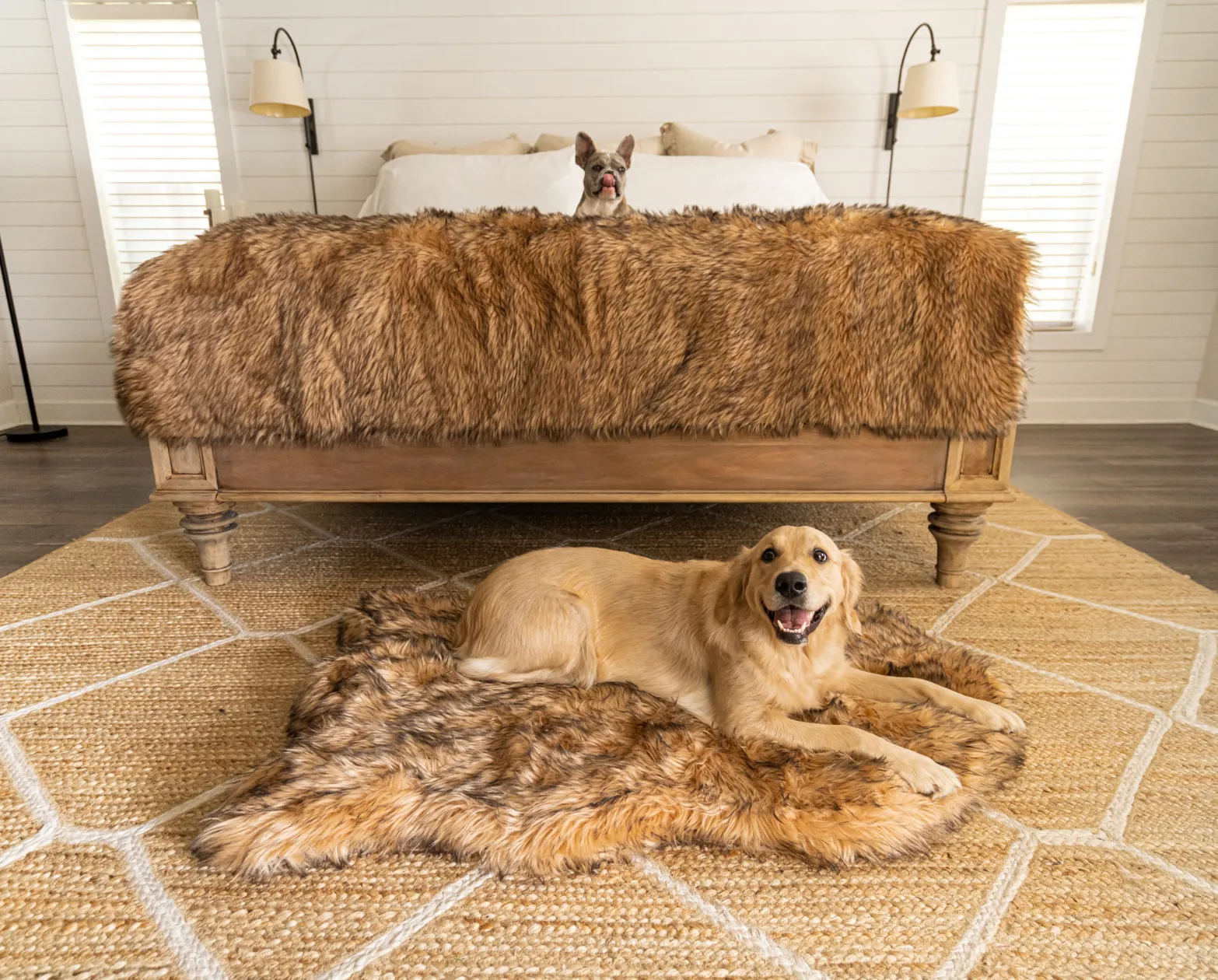 PupRug™ Orthopedic Bed   Matching Waterproof Blanket Bundle- Sable Tan