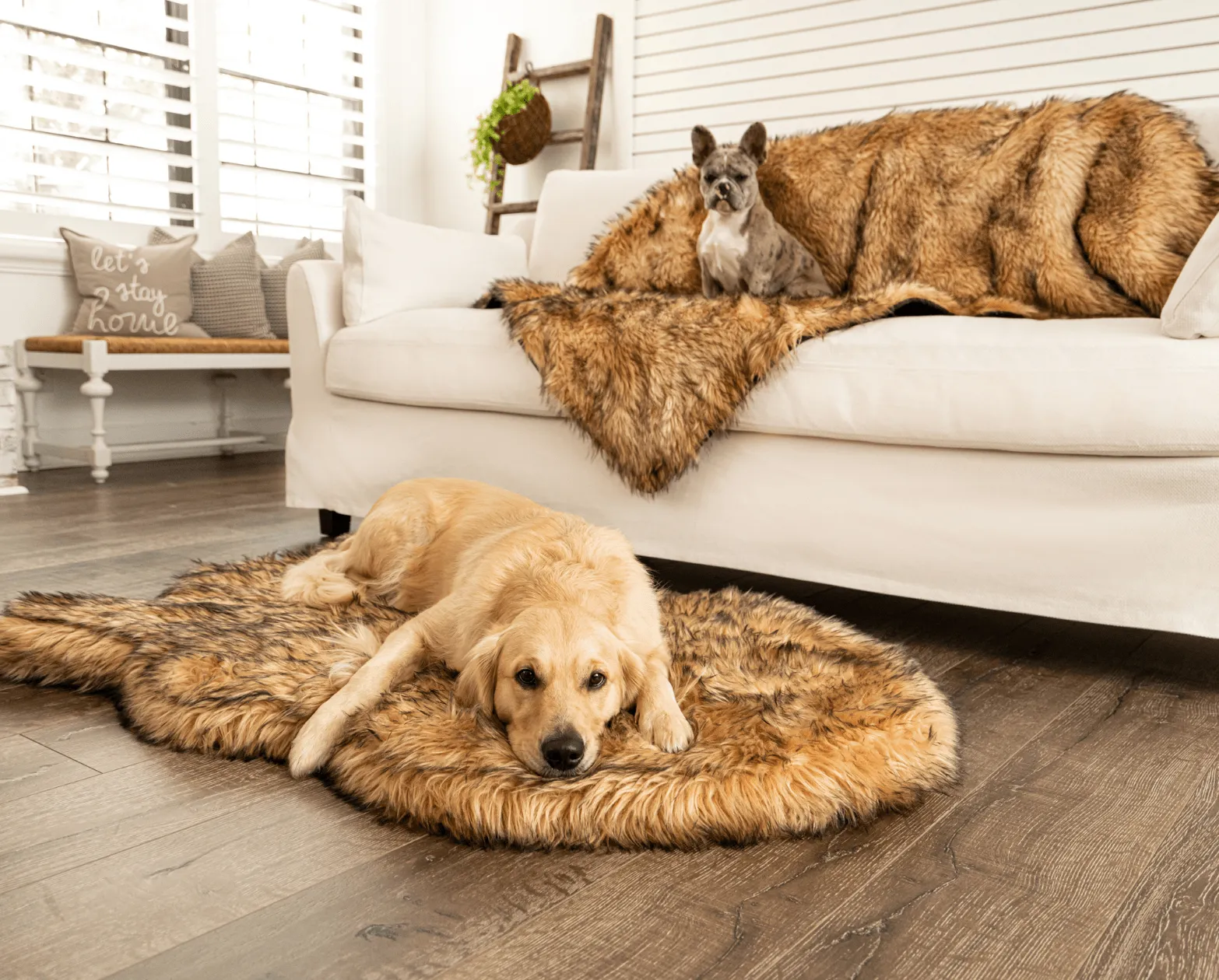 PupRug™ Orthopedic Bed   Matching Waterproof Blanket Bundle- Sable Tan