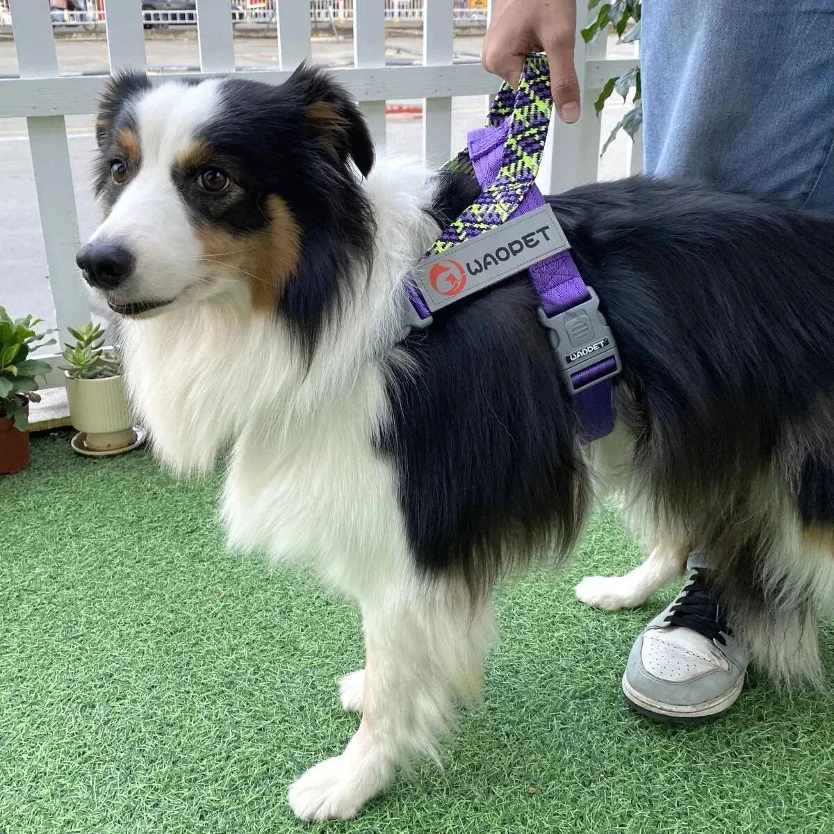 Reflective Dog Harness