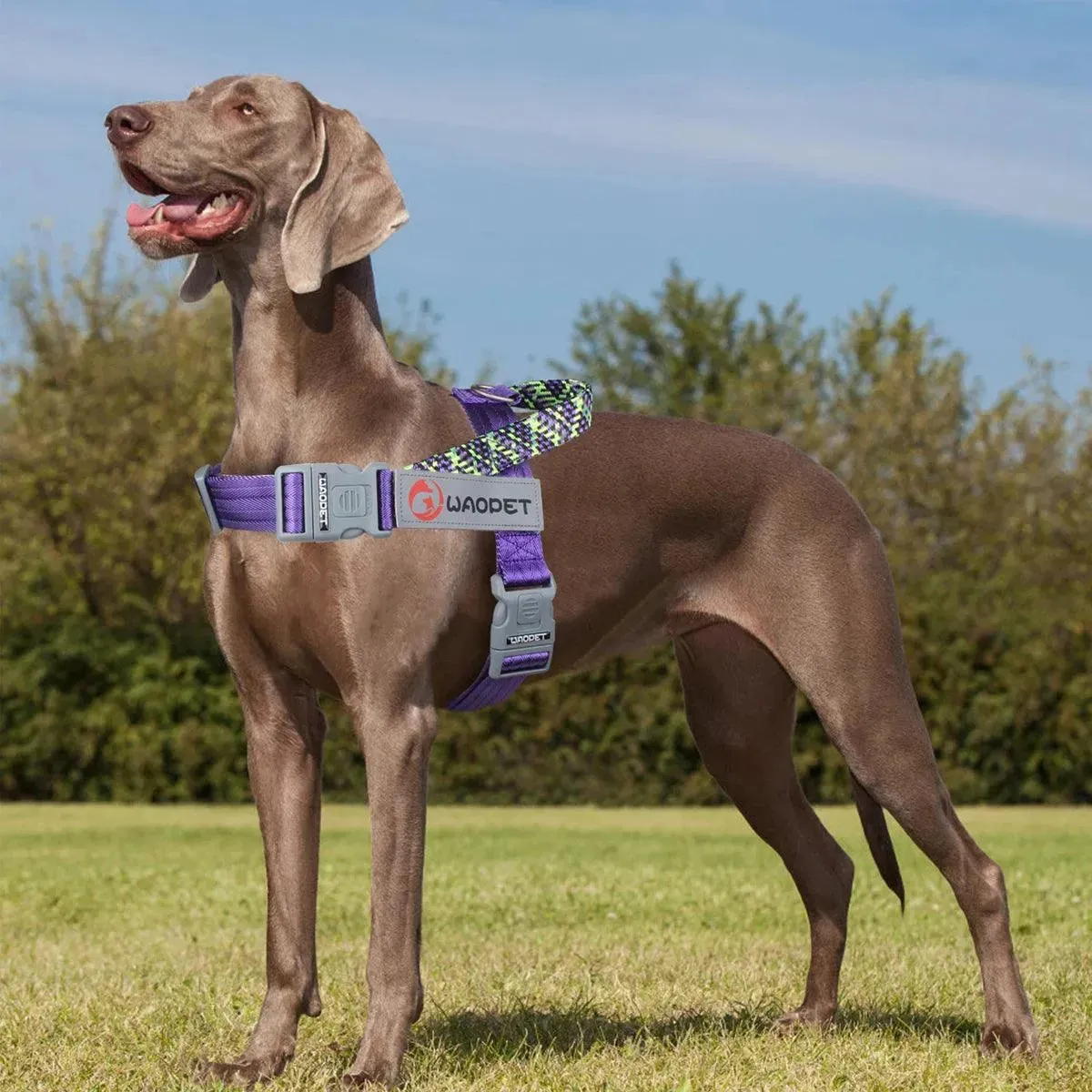 Reflective Dog Harness
