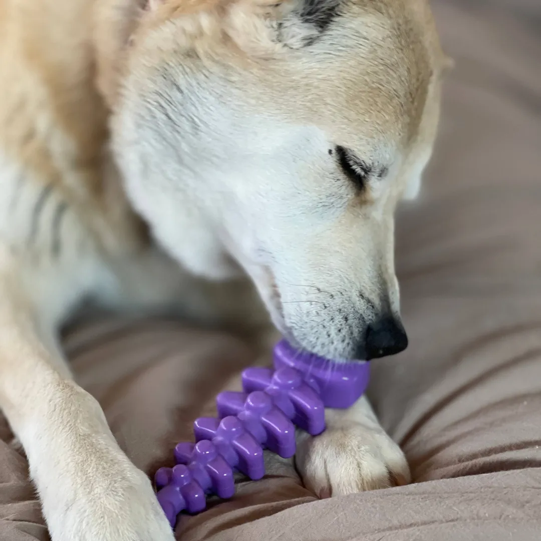 Sodapup Fish Bone Ultra Durable Nylon Dog Chew Toy