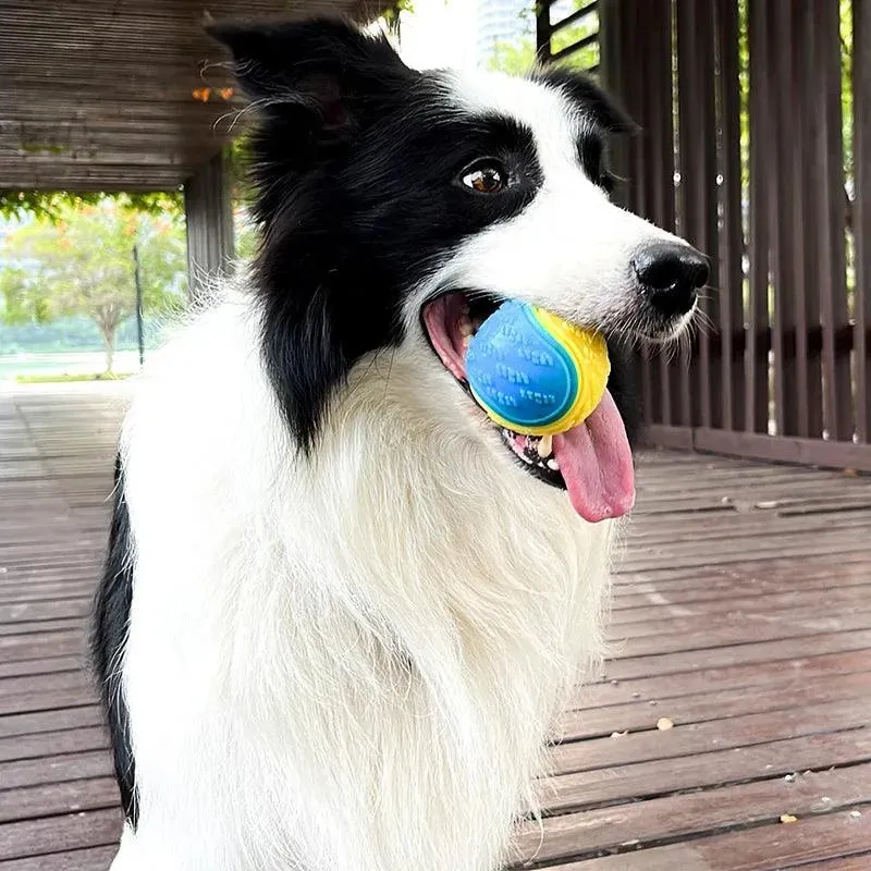 Soft TPR Interactive Dog Toys Bite-Resistant