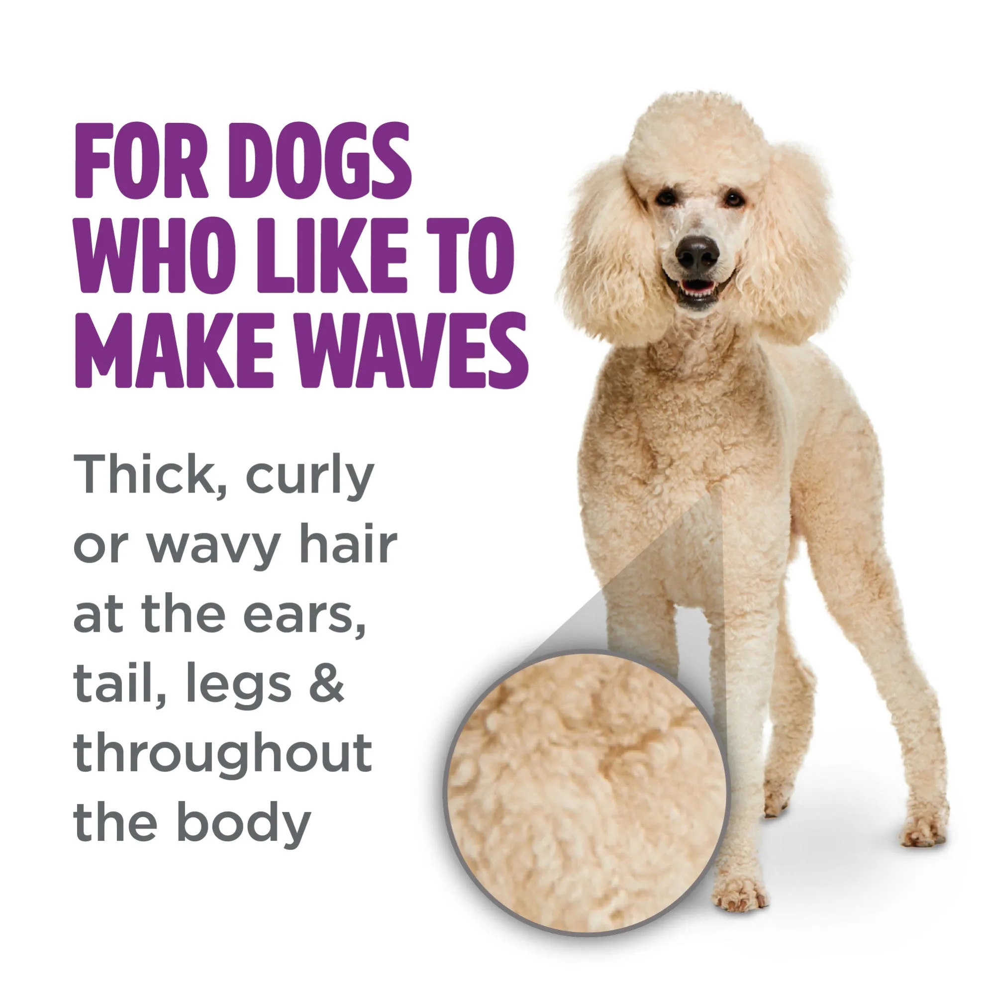 TropiClean Curly & Wavy Coat Shampoo For Dogs